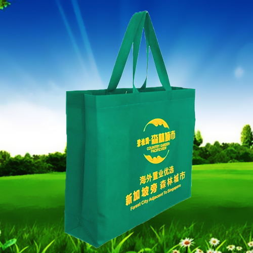 電壓無(wú)紡布手提袋 電壓無(wú)紡布手提袋