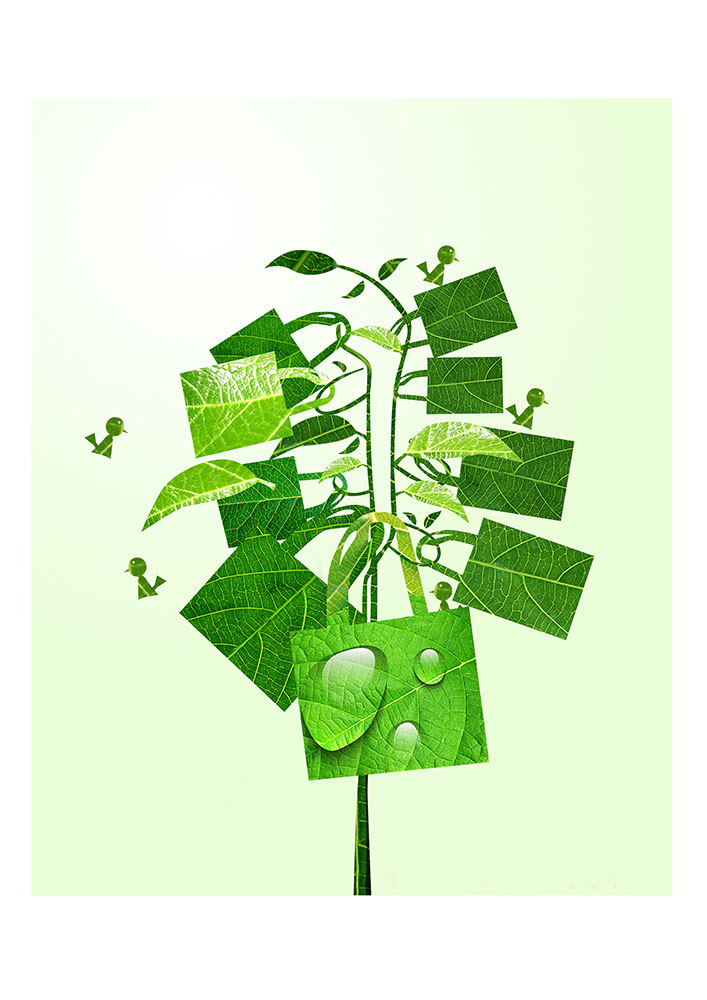 一花一世界，一個環(huán)保袋一抹綠