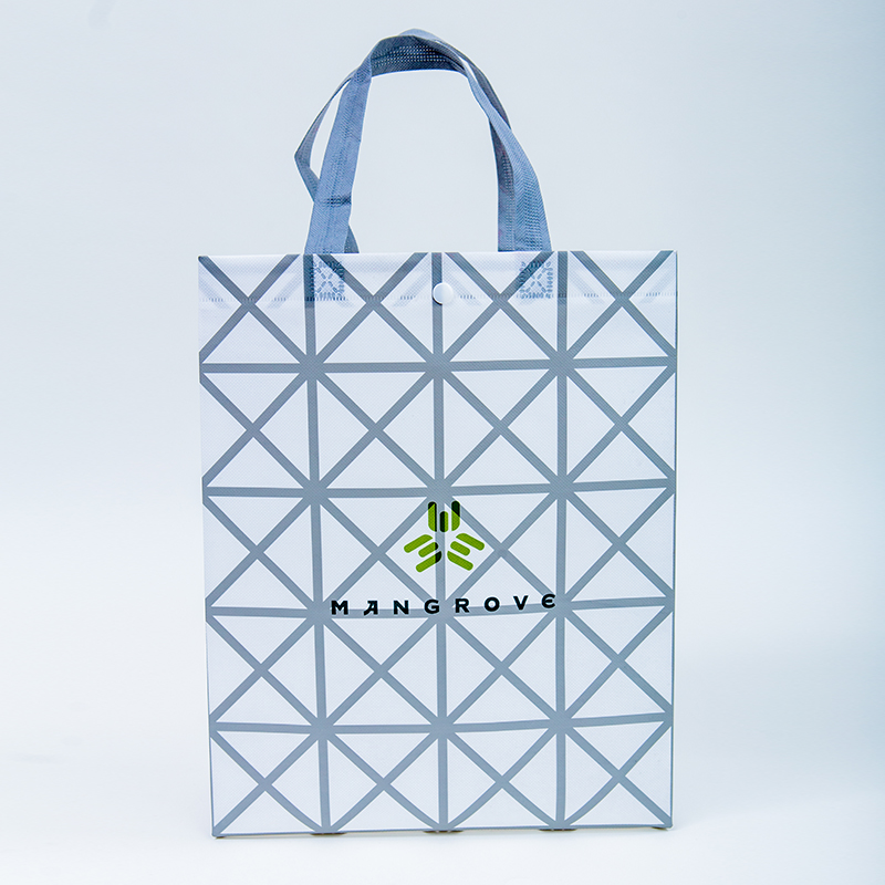 無(wú)紡布袋.jpg 無(wú)紡布袋.jpg