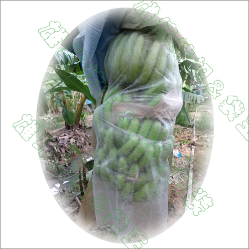 無(wú)紡布水果套袋 無(wú)紡布水果套袋